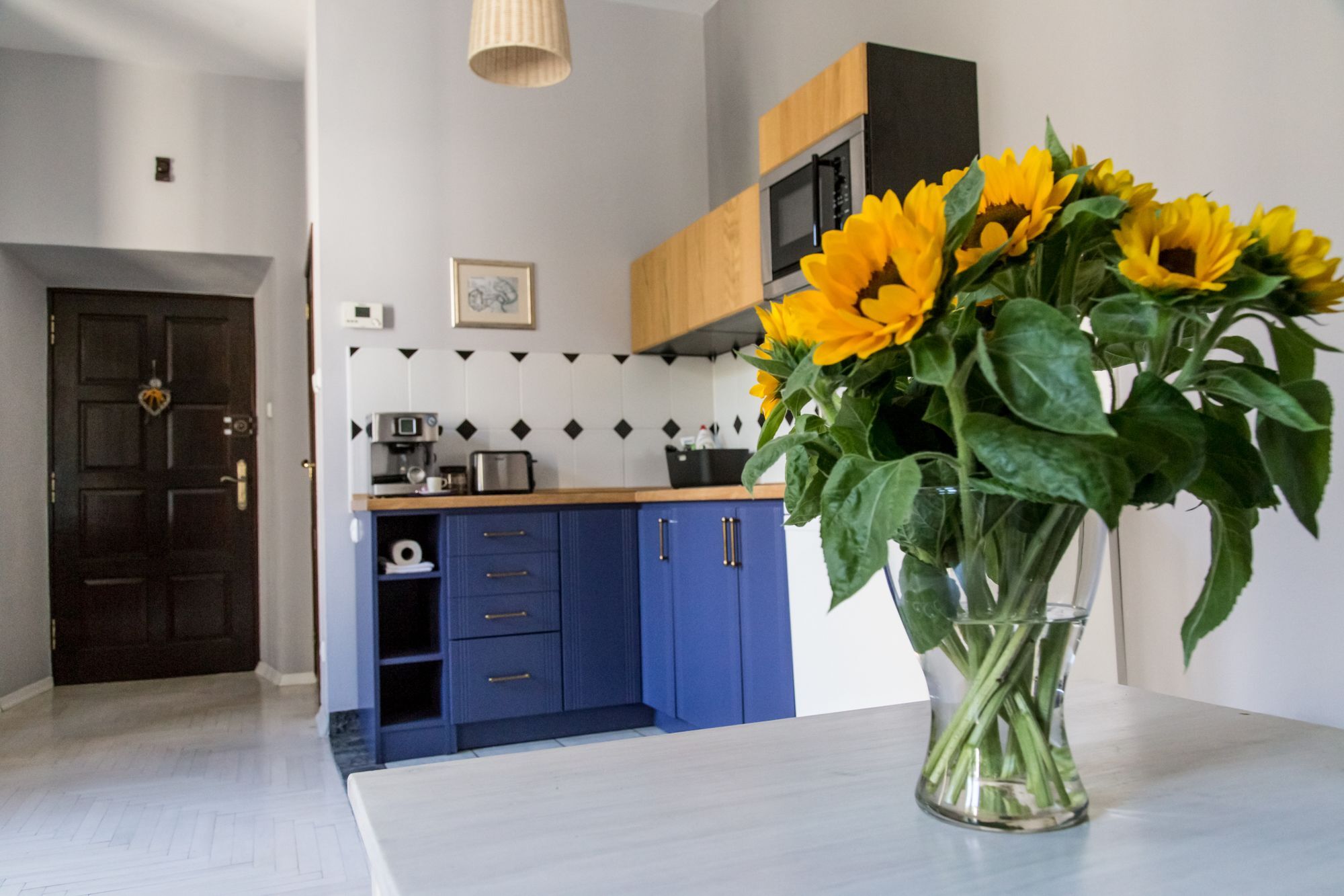 Gaya Apartament Kraków